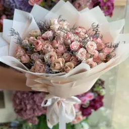 Mixed Baby Rose 1